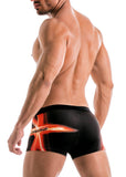 SWIMMING BOXERS 1911b1