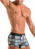 SWIMMING BOXERS 1912b1