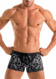 SWIMMING BOXERS 1918b1