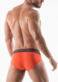 MEN BRIEFS 1952s2
