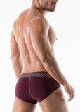 MEN BRIEFS 1952s2