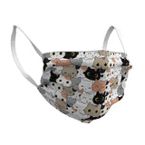 DESIGNER FACE MASK KITTENS