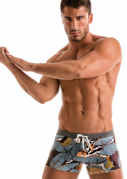 SWIMMING BOXERS 1906b1