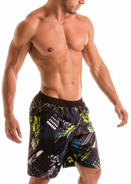 MEN BOARD SHORTS 1910p4