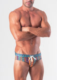Swimming Briefs 1509s2