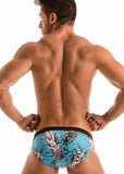 SWIMMING BRIEFS 1908s2
