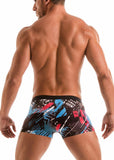 SWIMMING BOXERS 1910b1