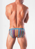 Swimming Briefs 1509s2