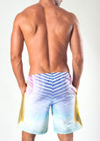 Men Board Shorts 1553p4