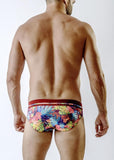 Swimming Briefs 1715s2