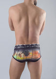 Men Briefs 1763s2