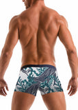 SWIMMING BOXERS 1902b1