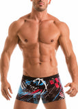 SWIMMING BOXERS 1910b1