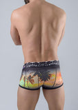 Men Trunks 1763b2