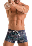 SWIMMING BOXERS 1902b1
