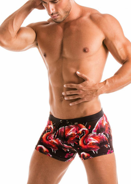 SWIMMING BOXERS 1914b1