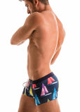 SWIMMING BOXERS 1901b1