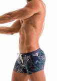SWIMMING BOXERS 1902b1