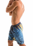 MEN BOARD SHORTS 1904p4