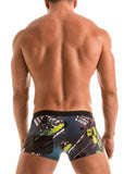 SWIMMING BOXERS 1910b1