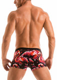 SWIMMING BOXERS 1914b1