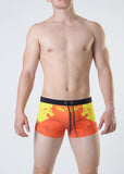 Swimming  boxers 1815b1