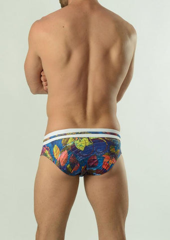 Swimming Briefs 1607s2