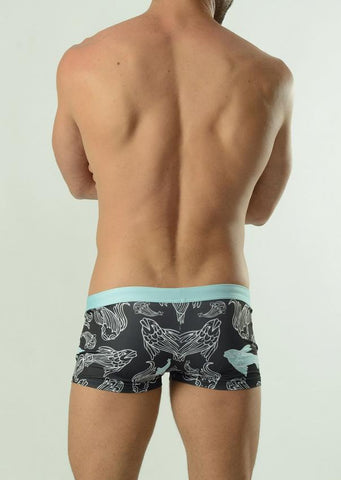 Swimming  boxers 1609b1