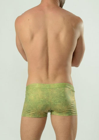 Swimming  boxers 1620b1