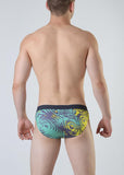 Swimming Briefs 1804s2