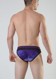 Swimming Briefs Swimming Brief 1817s2