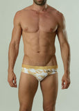 Swimming Briefs 1609s2