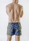 Men Swimming Shorts 1713p1