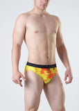 Swimming Briefs 1815s2